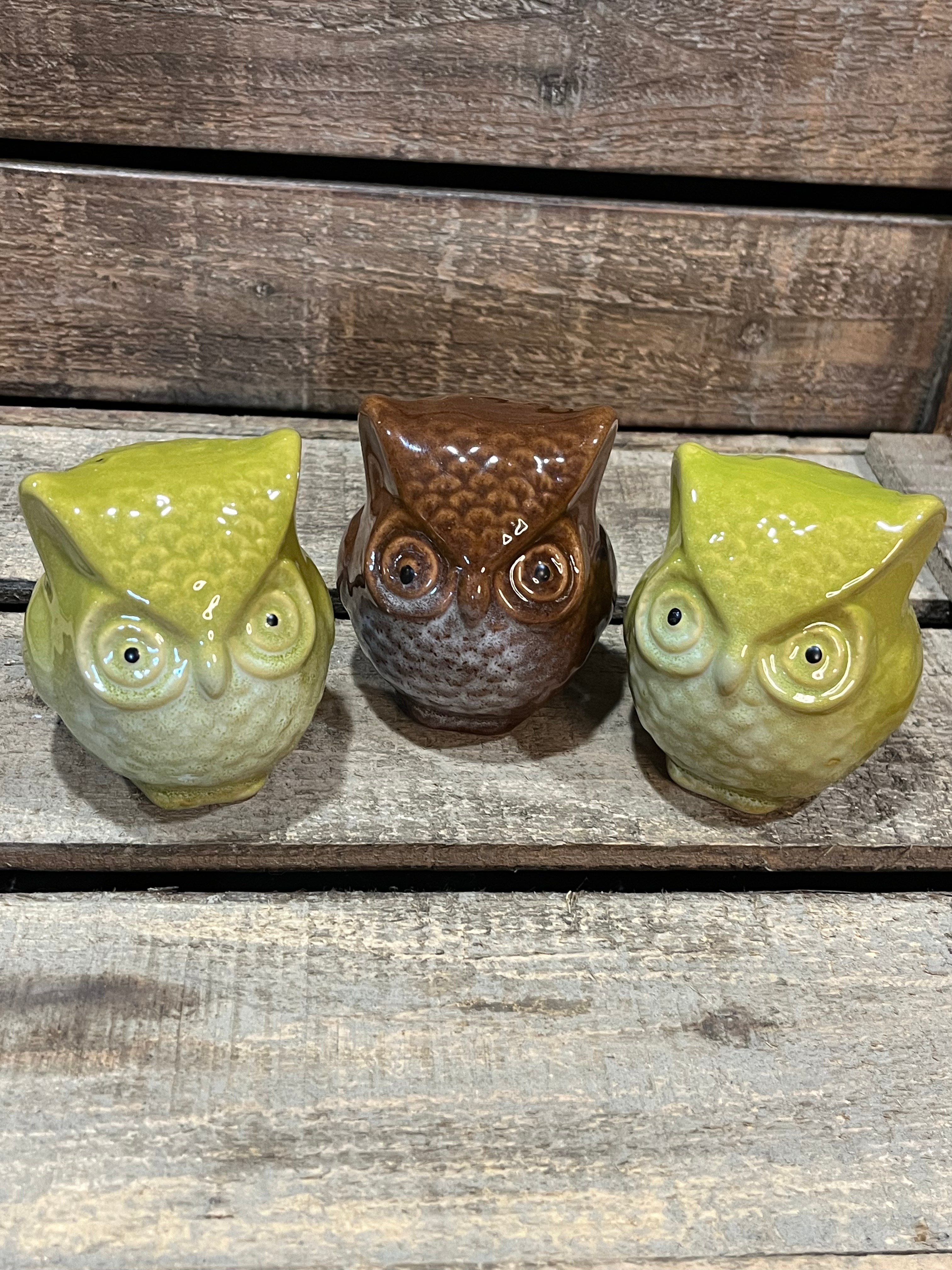 Cutest Little Owl Trio