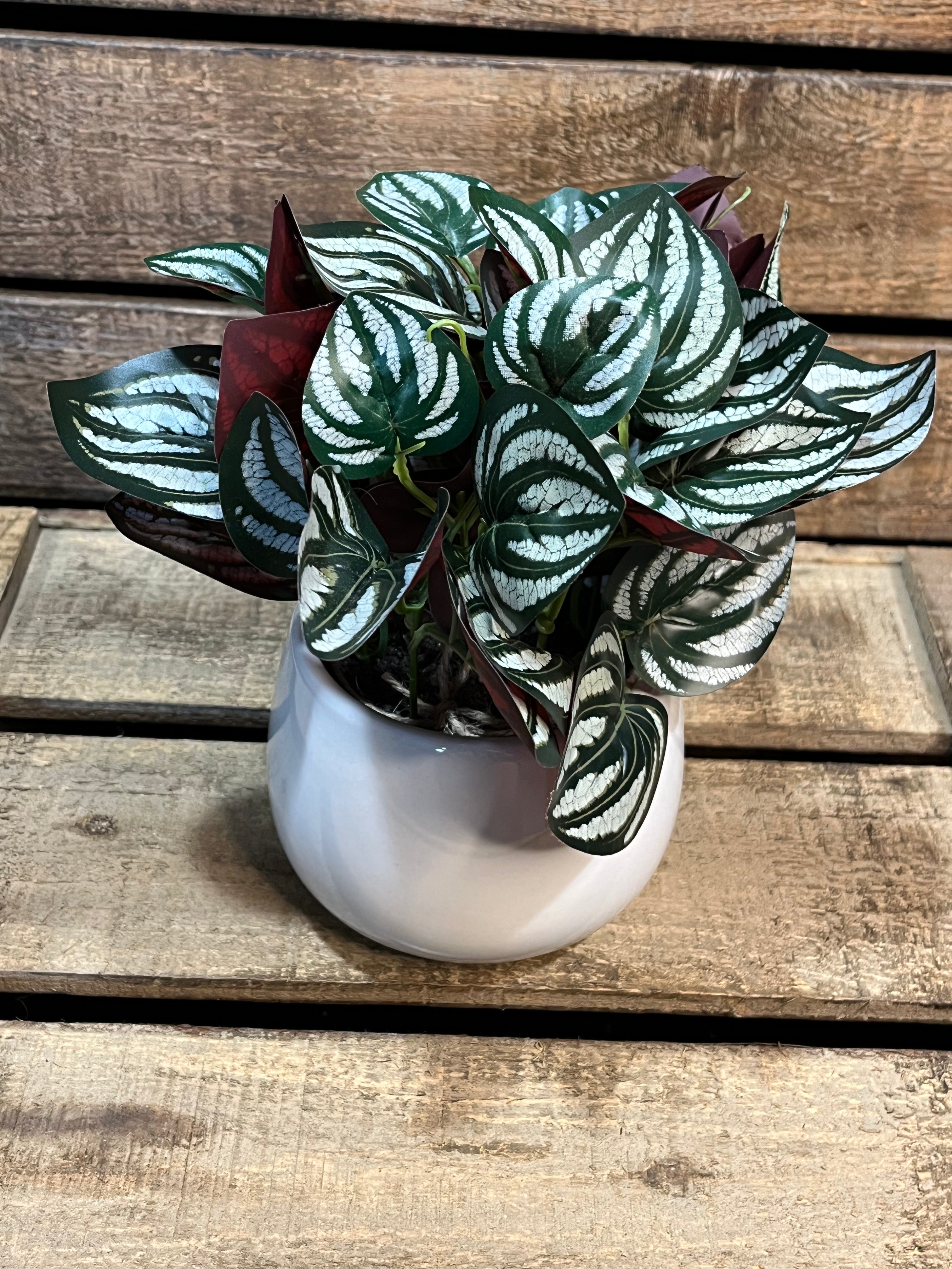 Faux Purple and White Striped Plant