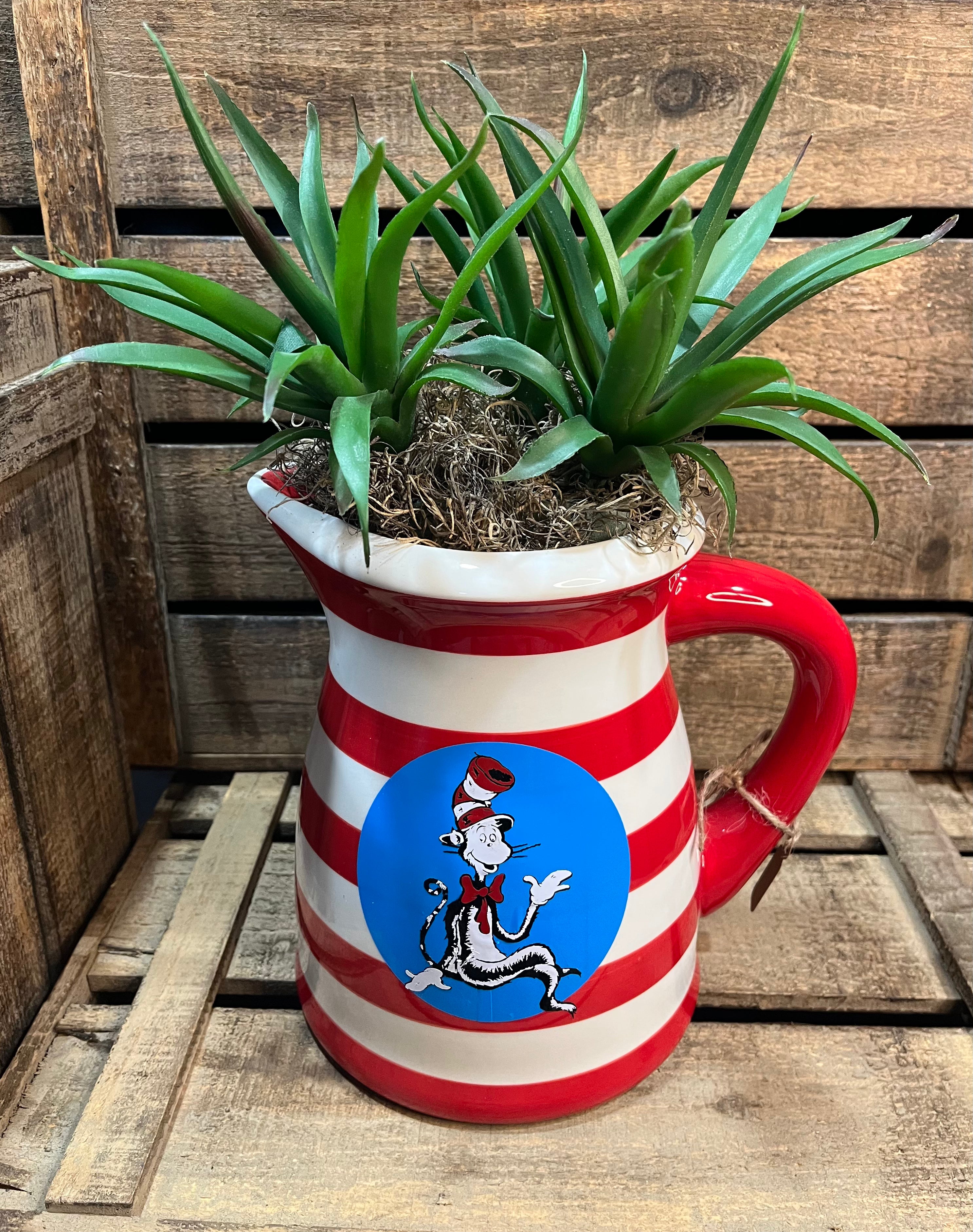 Dr. Seuss Water  Pitcher Decor