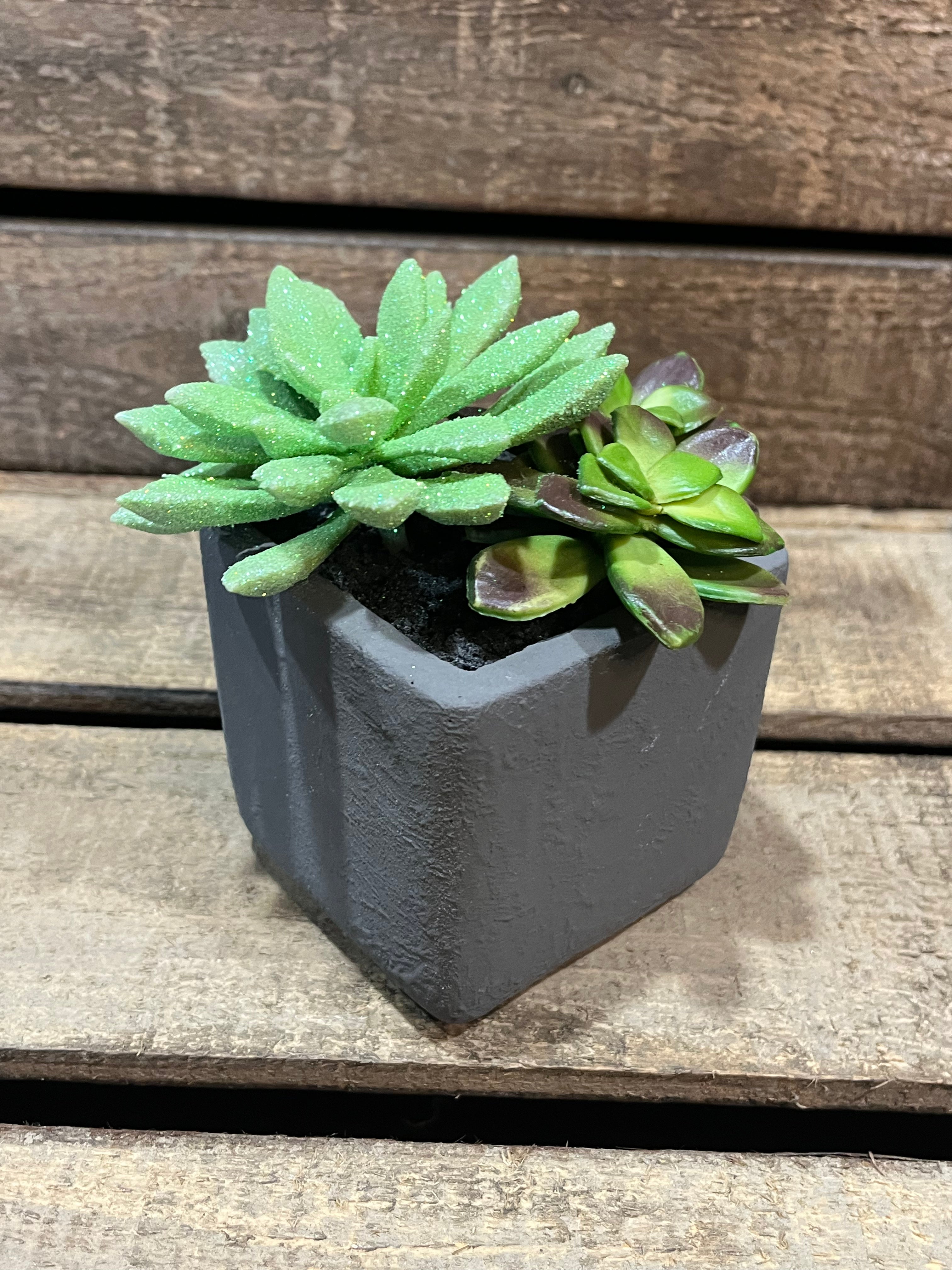Faux Succulent Trio with Glitter Catus
